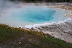 Geyser