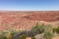 The Painted Desert