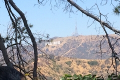Hollywood Sign