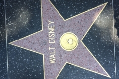 Star on Hollywood Boulevard Walk of Fame