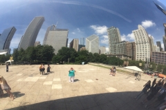 The Bean