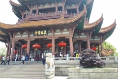 The Tower