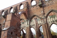 Cathedral Ruins