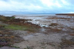 Peipsii Lake