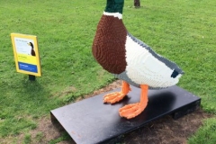 Mallard