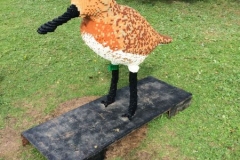 Sandpiper