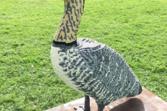Goose