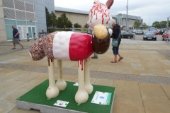shaun-003