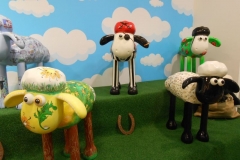 shaun-021