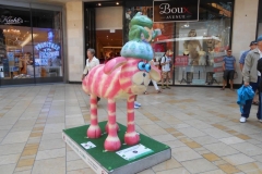 shaun-023