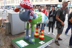 shaun-027
