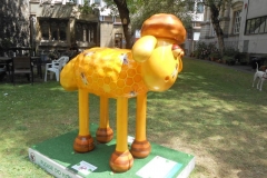 shaun-031