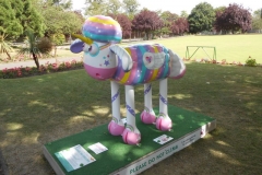 shaun-037